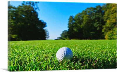 ARTCANVAS Golf Ball in Grass Canvas Art Print - Image 1 of 4