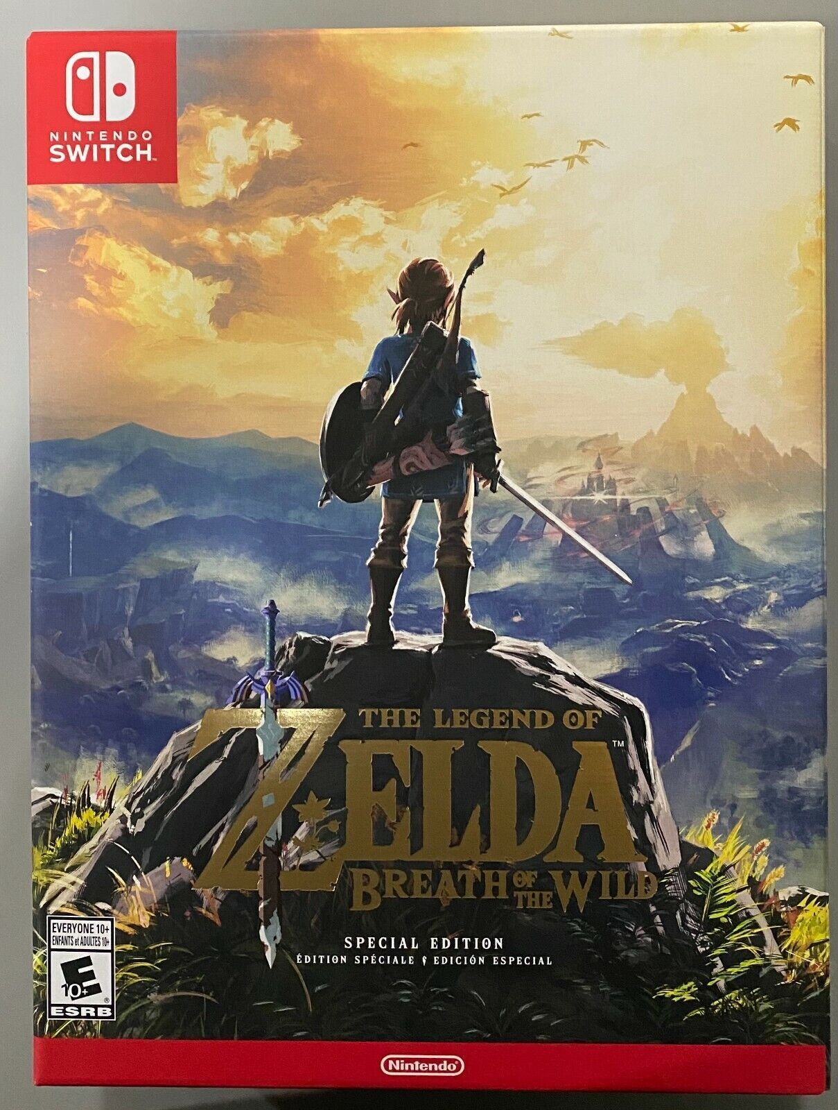  The Legend of Zelda: Breath of the Wild Special