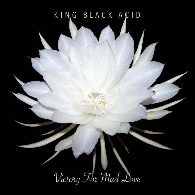 Винил King Black Acid - Victory For Mad Love RSD 2024