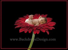 DIGITAL PHOTOGRAPHY BACKGROUNDS KIDS Children BACKDROPS PROPS