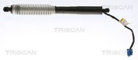 Triscan Heckklappen DäMpfer Gasfeder Kofferraum 8710 11356 FüR BMW 5Er G30 F90
