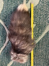Real Fox Tail