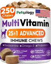 25-in-1 Dog Vitamins and Supplements - 250 Chews 250 Chews, Multivitamin