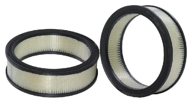 Filtro de aire de motor tipo OEM WIX para Pontiac Fiero 1984-1988 L4-2,5 L Foto 2 de 4