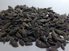 HARITAKI ,BLACK CHEBULIC MYROBALAN TERMINALIA CHEBULA HARDA ,Free Ship - 50 gm