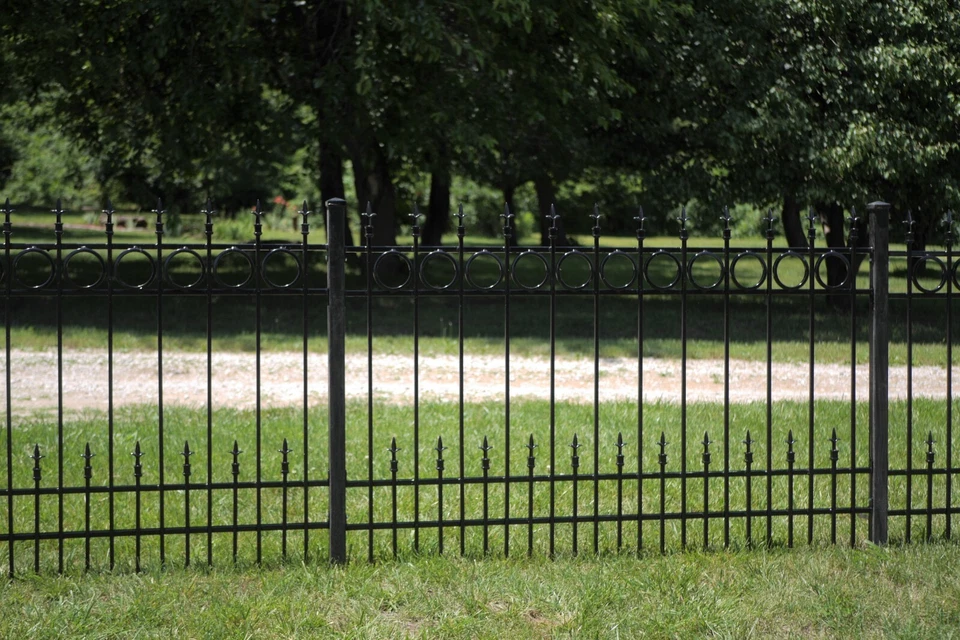 Paneles de valla de hierro forjado macizo con anillos de 6" con subpic de 18": entrega a continuación Foto 4 de 4