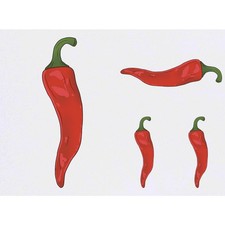 4 x 'Spicy Chilli Pepper' Temporary Tattoos / Transfers TO00086844 