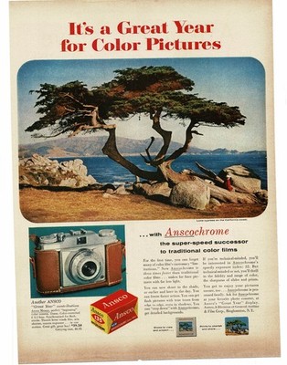 1956 Ansco Anscochrome Color Film Memar Camera California Cypress Tree Print Ad
