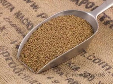 Sprouting Seeds Certified (NON-GMO) Organic Alfalfa Seeds