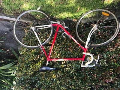 racing bikes gumtree