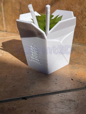 Chinese takeout planter plant pot for succulents, air plants or any small  plant, | eBay