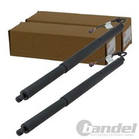 2X NTY Gasfedern KOFFERRAUM-LIFTER Passend FüR Audi Q8 | AE-AU-097