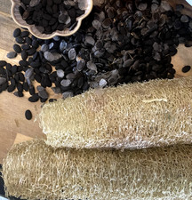    Homegrown Loofah Luffa Seeds   30 for 5   