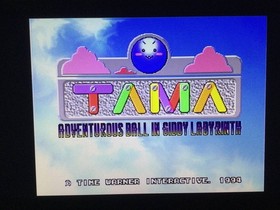 [SEGASATURN software] TAMA□SEGA Saturn SS [Operation confirmed] /Only USA DDP