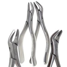 Extracting Forceps Set Of 2 - 150 & 151 Serrated - Surgical Dental Instruments