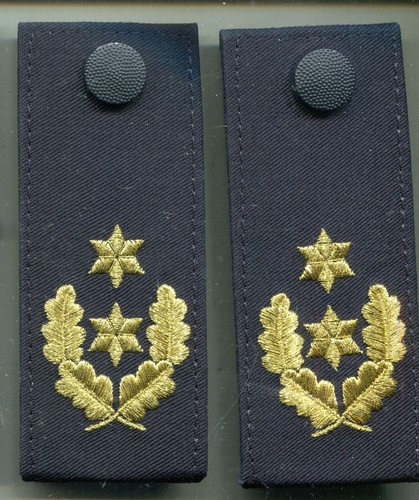 Polizei Baden Württemberg Schulterklappen 2 Sterne 4 eichenlaub gold 1 Paar (97) - 第 1/2 張圖片