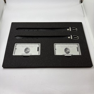 American Express Luggage Tag | eBay