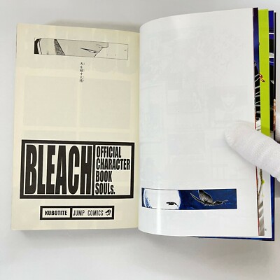Bleach Official Character Book 