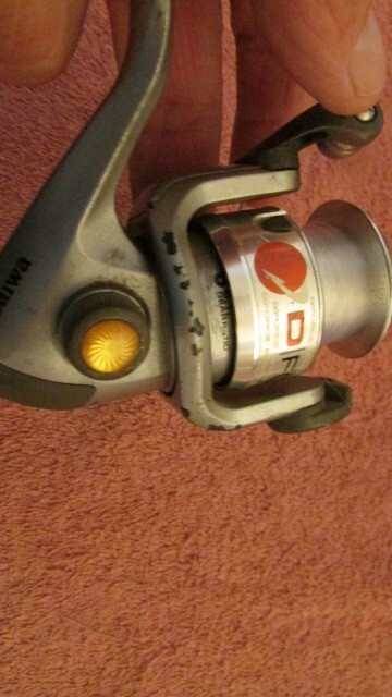 Daiwa D Force Spinning Reel