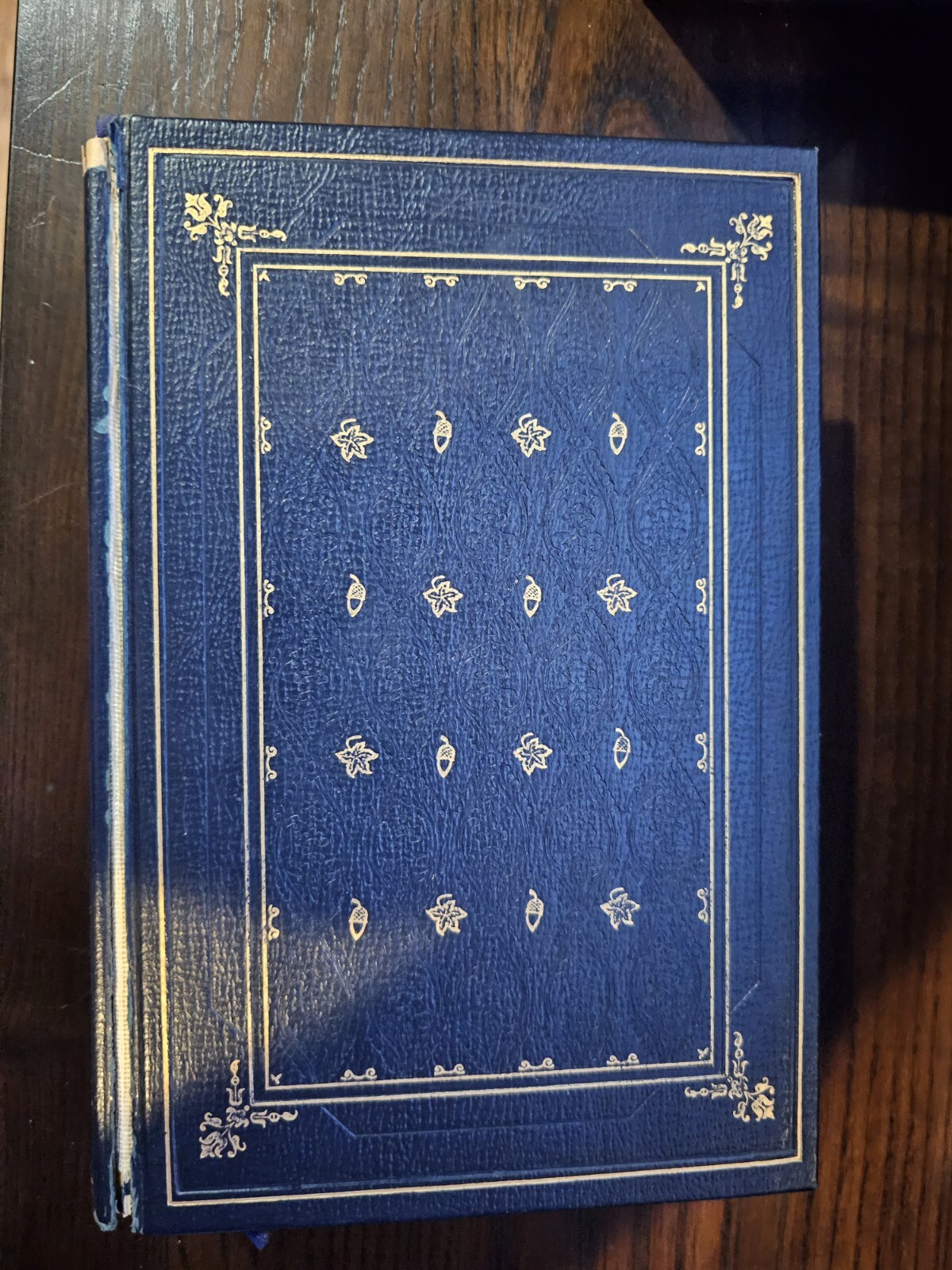 Picture 2 of 17