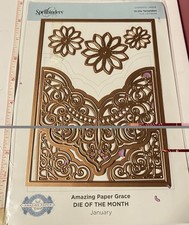 Spellbinders Large Die of the Month January 2019 Amazing Paper Grace New