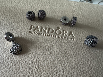 Pandora Charm-Set   6 Original Charms/Clips aus Sterling Silber (S925 ALE)