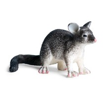 6.5cm Mini Opossum PVC Toy Wild Animal Figure Doll Kids Gift