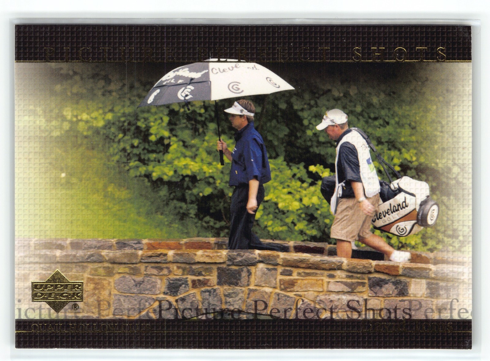 David Toms 2004 Upper Deck UD Golf #75 Picture Perfect Shots
