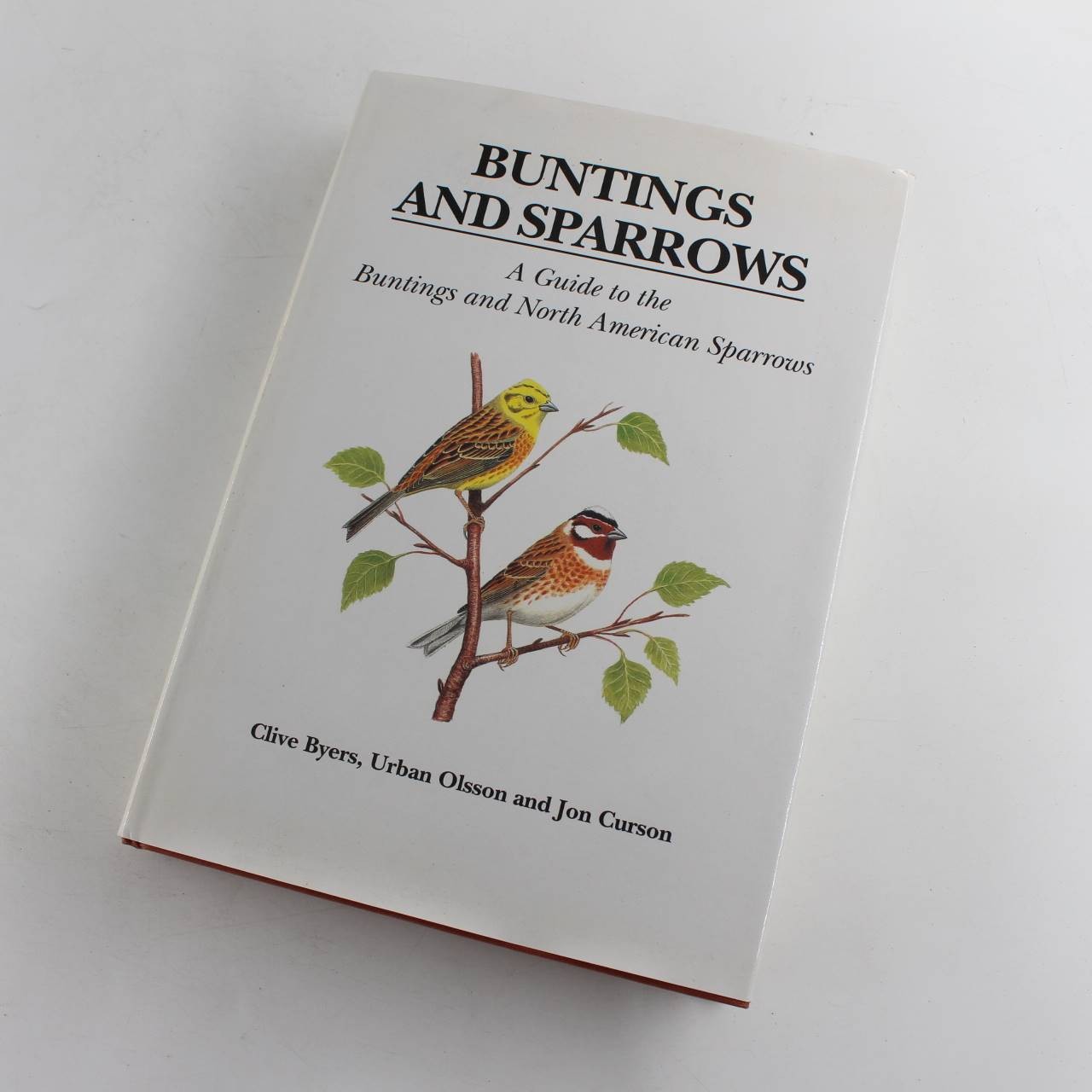 Buntings and Sparrows A Guide to the Buntings and North American Sparrows book b