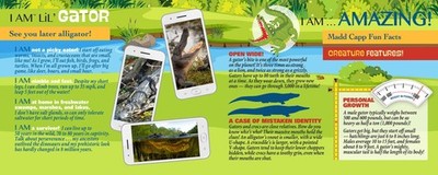 Home | Madd Capp Lil' Gator 100 Piece Jigsaw Puzzle at Plaza Las Americas in San Juan, PR