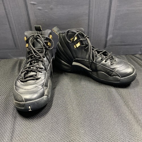 jordan 12 retro the master