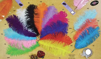 Large Jumbo Big Ostrich Feathers Plummage Plume Pluma Fluff Quill Color 2-Count