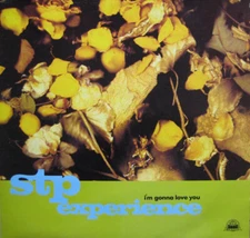 STP Experience - I'm Gonna Love You - Used Vinyl Record 12 - Y5z