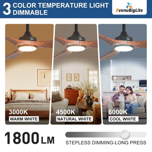 Modern Ceiling Fan with Light Dimmable Remote APP Control Metal Base ABS Blade - Picture 62 of 69