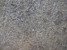 Bild 9 von 13