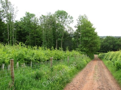 Photo 6x4 Estate road, Marchmont Polwarth It descends steeply from the Gr c2011