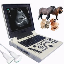 Performance Veterinary Ultrasound Scanner with Probe Scanner Laptop Machine