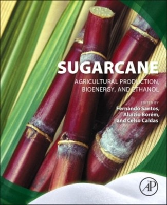 Borem - Sugarcane - New paperback or softback - 25 - X555z