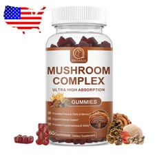 Mushroom Extract Complex Gummies Lions Mane Chaga Reishi Focus Memory Immunity