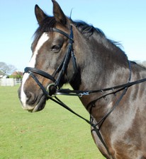 Heritage English Leather Market Harborough With Reins | Black, Havanna | Cob, Full