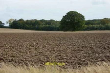 Photo 12x8 Field at Manor Farm, Hampshire Burridge Manor Farm is a large e c2012
