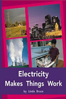 Electricity Makes Things Work: Individual Student - 0763579483, RIGBY, paperback
