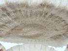 Bild 8 von 24