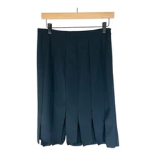 The Limited Womens Skirt Size 4 Black Knee Length Pleated Casual Professional