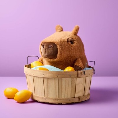 Capybara Stuffed Animal