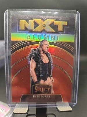 2024 Panini Select WWE - Nxt Alumni Butch #18 Red Prizm /99