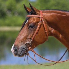 Schneiders Double S Browband Training Bridle with Snaps | Size Full Horse