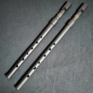 Woodnote Smartwoodi penny whistles Key of D & C, 2-Piece set with Case