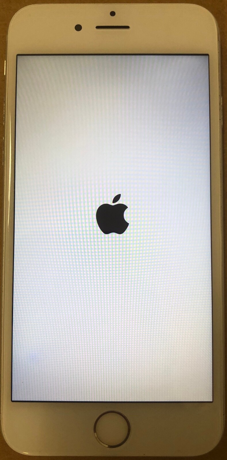 Foto 1 di 5