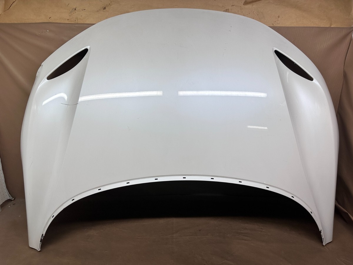 🦩 2022 - 2024 Lucid Air Front Hood Panel Bonnet Shell OEM